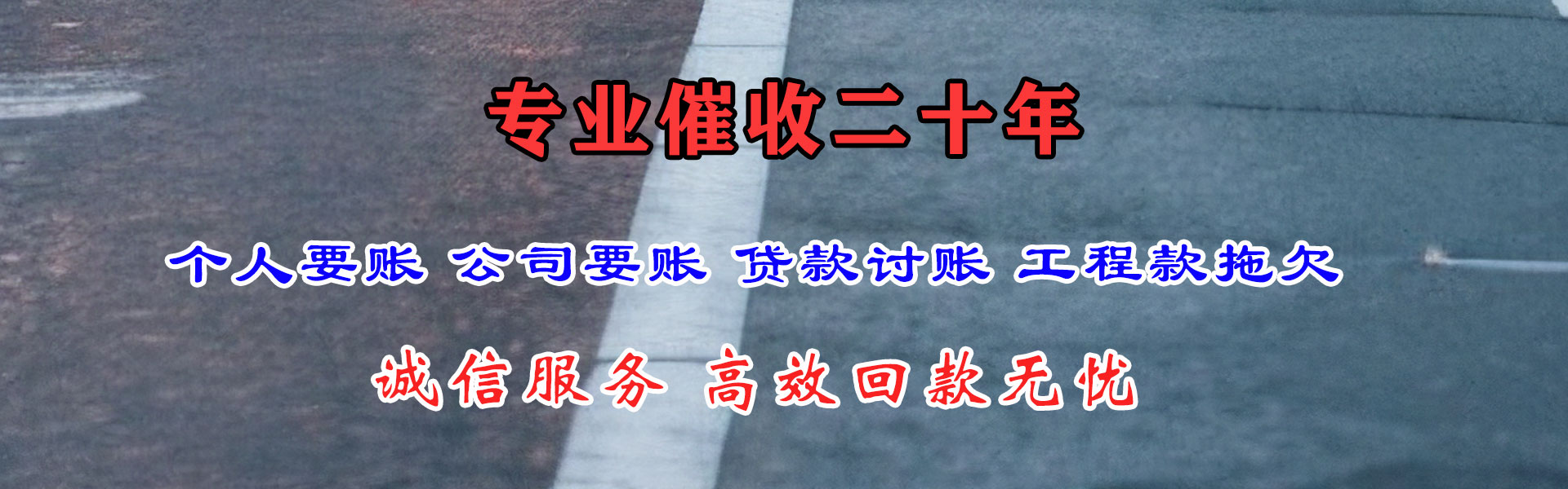 武定要账公司